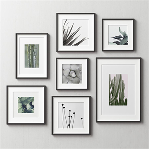 Picture Frames Set -163